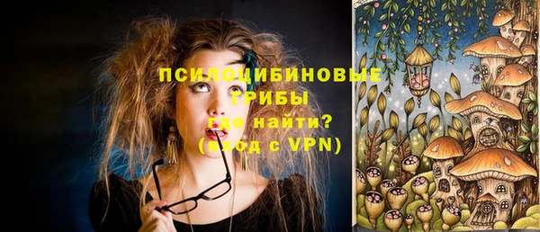 крисы Алзамай