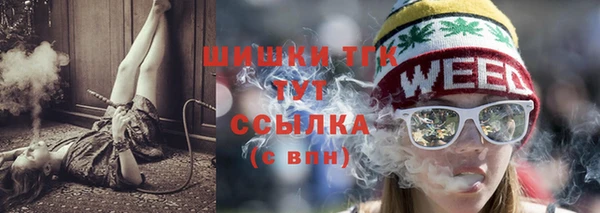 дживик Надым