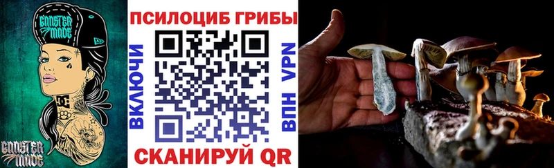 Галлюциногенные грибы Psilocybe купить OMG рабочий сайт Павловская